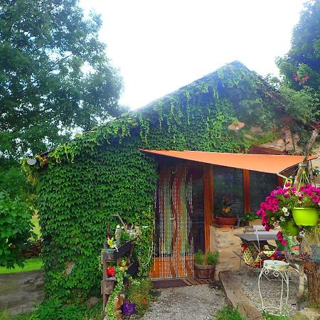 Mas De La Boheme - L'Hermet Saint-Léons Exteriér fotografie