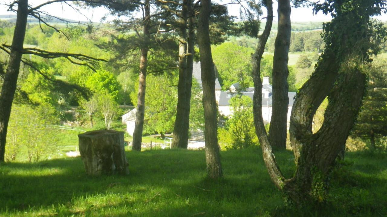 Mas De La Boheme - L'Hermet Saint-Léons Exteriér fotografie