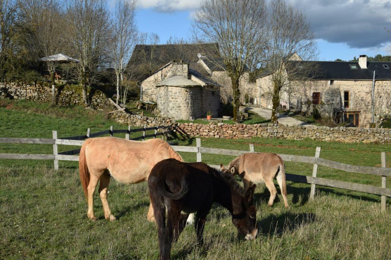 Mas De La Boheme - L'Hermet Saint-Léons Exteriér fotografie